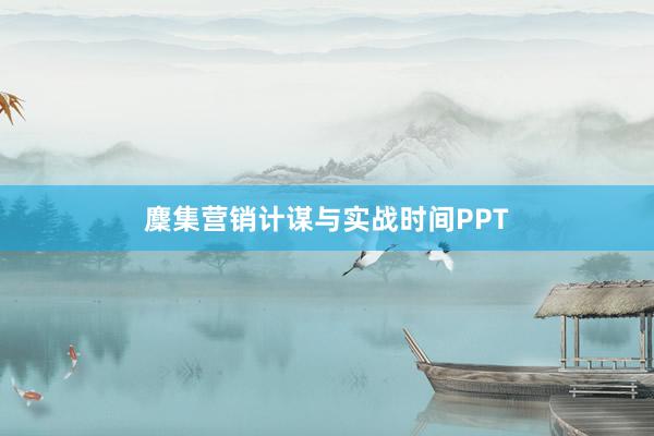 麇集营销计谋与实战时间PPT